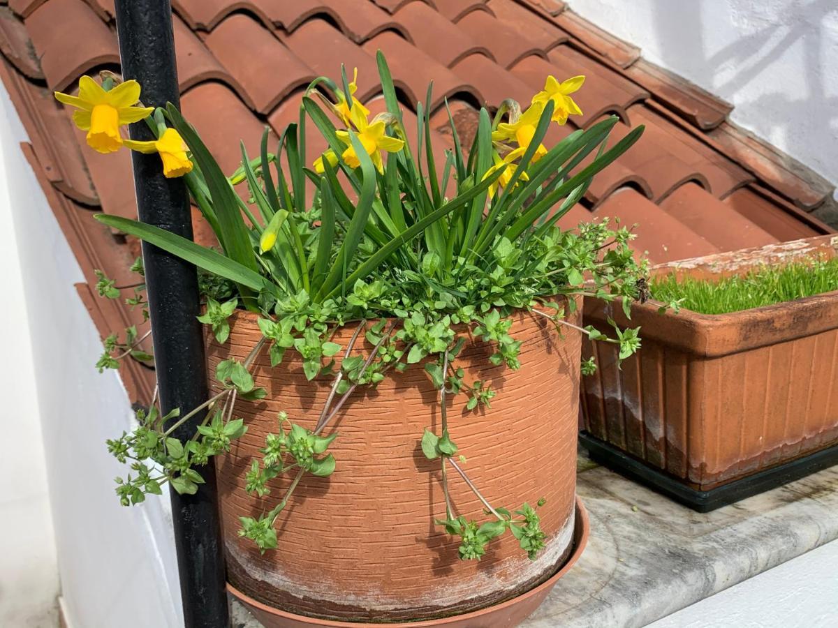 Rooftop Terrace Domus Dei Fabbri البندقية المظهر الخارجي الصورة