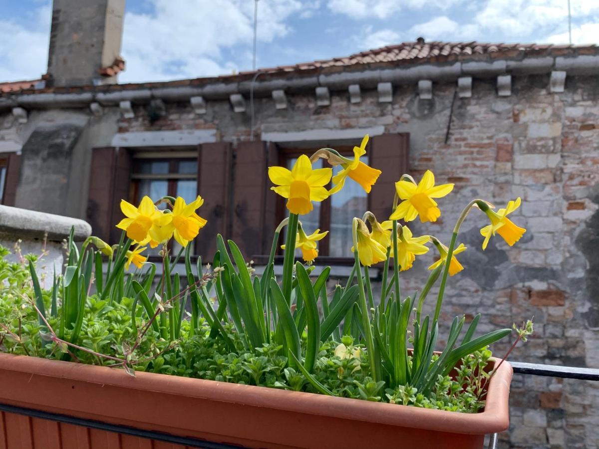 Rooftop Terrace Domus Dei Fabbri البندقية المظهر الخارجي الصورة
